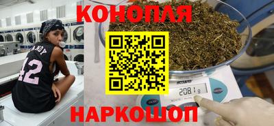 прущие грибы Усть-Джегута