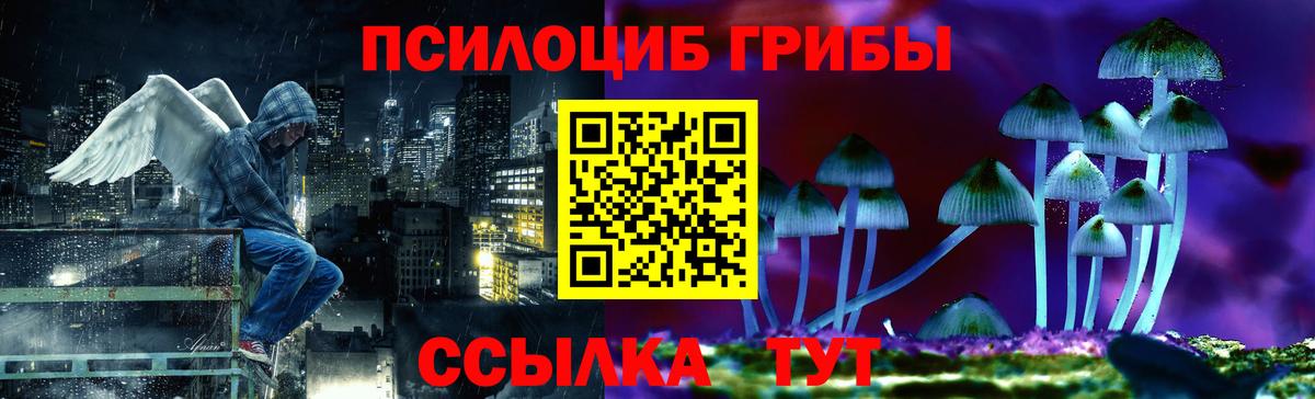 Галлюциногенные грибы MAGIC MUSHROOMS  Вход с VPN  Галлюциногенные грибы MAGIC MUSHROOMS  Ачинск 