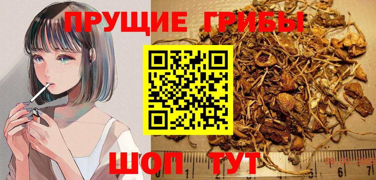 Галлюциногенные грибы MAGIC MUSHROOMS Ачинск
